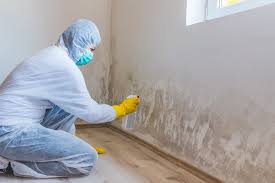 Best Commercial Mold Inspection in USA